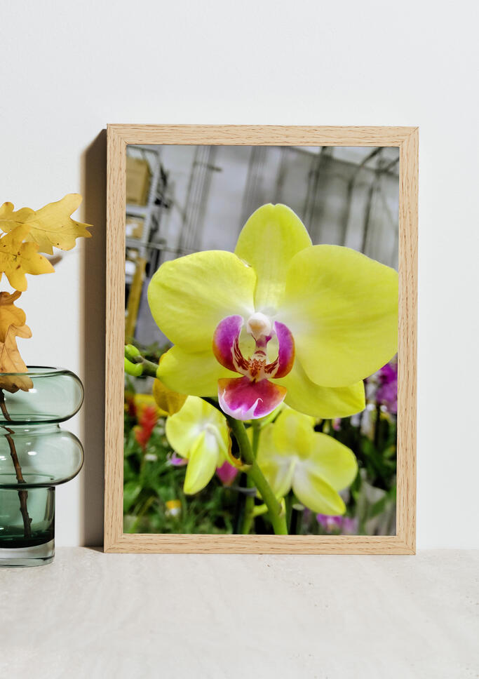 See how it looks in a real home.